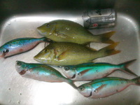 ６番ジャー(汗) 2012/08/09 21:49:00
