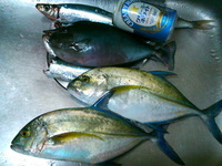 那覇一文字 2010/11/06 11:00:08