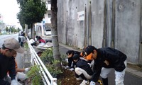 ももやま通りの美化作業
