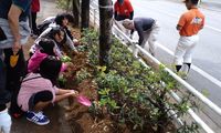 ももやま通りの美化作業
