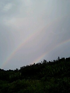 雨上がりの空に…