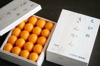 最近のこと 2011/02/15 12:09:27