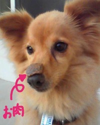 可愛い女の子 2009/08/19 21:40:57