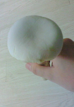 におうしめじ。