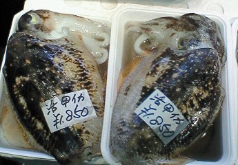 泊いゆまち。