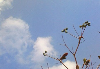 ゴールデンウィーク。