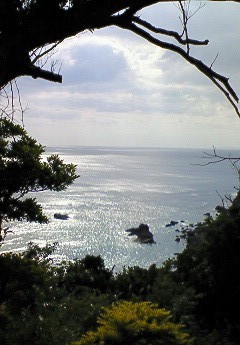 ＬＯＨＡＳ　２。