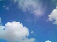 いい天気っ。 2010/05/05 15:23:19