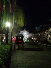 京都の夜。