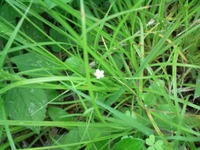 進。 2011/03/21 10:23:12