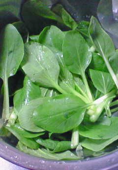 ベランダ菜園。