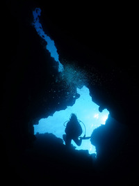 久々の青空だったよ～