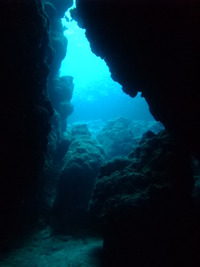 ２０１１☆初潜り