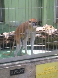 近況報告。 2011/07/22 21:16:51