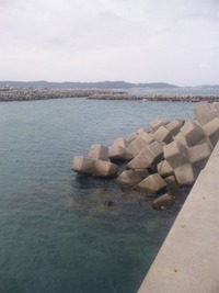 行ってきました。 2011/11/16 16:37:24