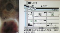 ここだミャン♪
