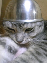 防災!? 2010/02/28 01:43:36