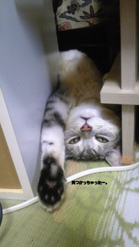 パソコンが…… 2010/04/09 00:08:26