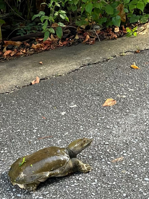 なんか良い事ありそう