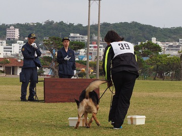 平成２６年度沖縄県警察嘱託警察犬審査会