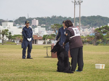 平成２６年度沖縄県警察嘱託警察犬審査会