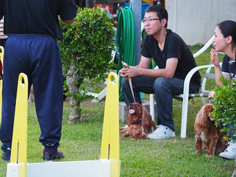 家庭犬のしつけ教室 セラピードッグスクール沖縄ブログ