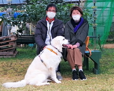 卒業生と預託犬の面会 セラピードッグスクール沖縄ブログ
