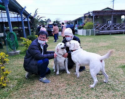 卒業生と預託犬の面会 セラピードッグスクール沖縄ブログ