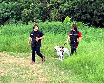 救助犬の原野捜索訓練