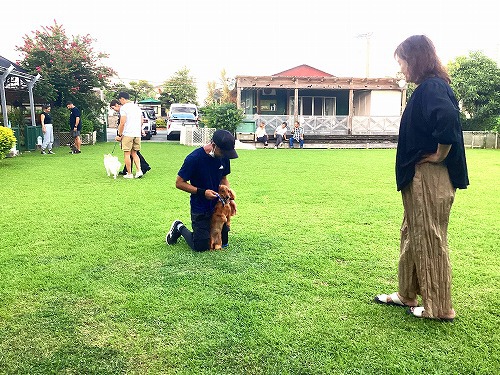 愛犬との面会日です