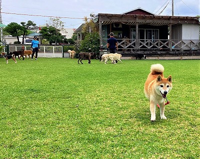 朝の集団訓練