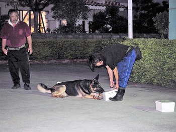 警察犬の審査に向けて