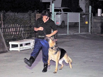 警察犬の審査に向けて