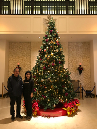 メリークリスマス❣️ 2017/12/25 12:44:39