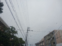 少しでもちょっとでも動きますですです。