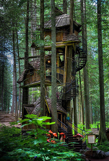 なんというファンタジー 世界の魅惑的なツリーハウス デザイン バーリトゥーダ