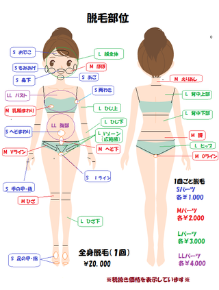 全身脱毛キャンペーンのご案内です♪