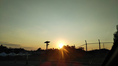 出張手相鑑定　アグリパーク市