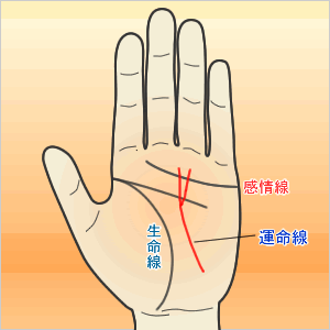 大山天明堂のフムフム 手相 運命線から太陽丘に向かう開運線