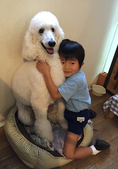 True Blue Dog Grooming Hotel 犬と子供