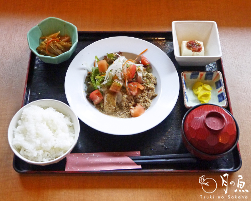 蒸し鶏と彩り野菜定食　－2013/06/03－