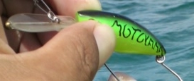 失敗・・・・魚無し・・