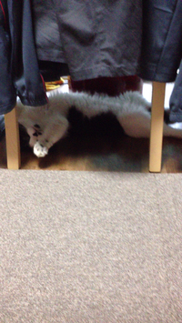 暑いから‥ 2014/04/15 14:48:21