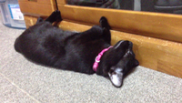 目が空いてますよ❗️ 2014/06/18 20:57:47