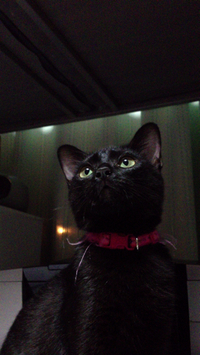 雨です❗️ 2014/04/24 14:16:40