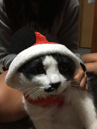 雰囲気を 2014/12/15 19:41:50