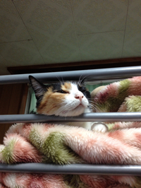 良い天気です❗️ 2014/05/21 12:30:52
