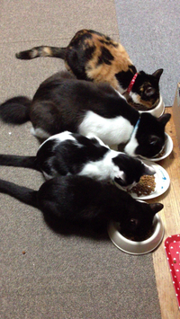 朝ごはん 2014/01/24 10:33:53