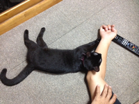腕枕 2014/05/26 12:07:24