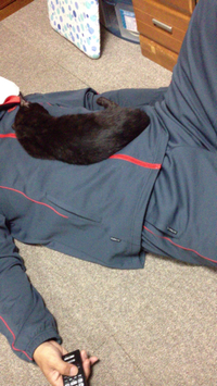 どこにでも？ 2014/01/21 14:22:30